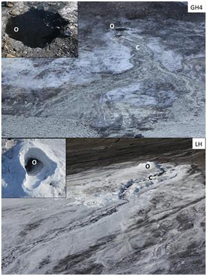 Viral Induced Microbial Mortality in Arctic Hypersaline Spring Sediments